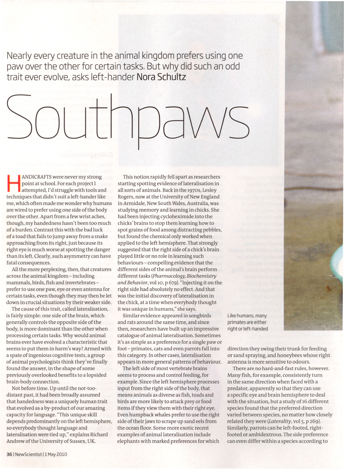 Image de l'article Southpaws