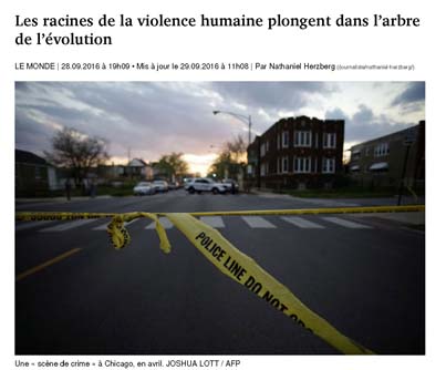 Image de l'article Les racines de la violence humaine plongent dans l'arbre de l'évolution